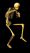 scheletro.gif